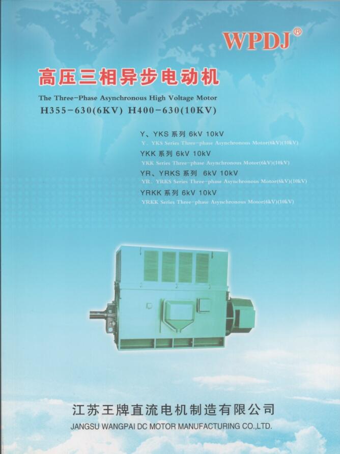 AC High Voltage Motor Catalogue